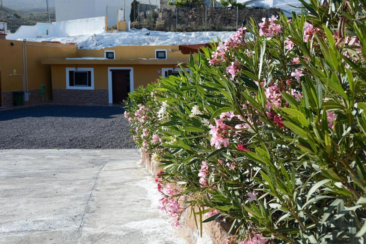 Casa Cueva Los Mansos Santa Cruz de Tenerife Exterior photo